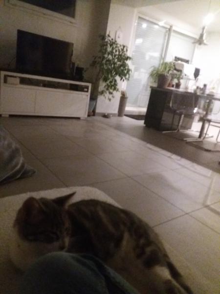 Photo du logement