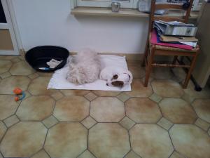 Photo du logement