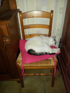 Photo du logement