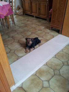 Photo du logement