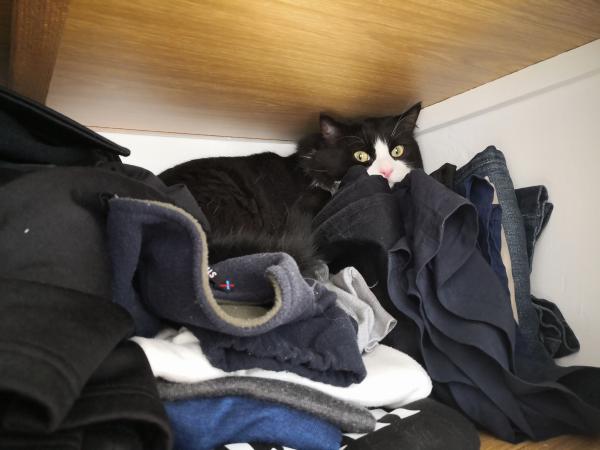 Photo du logement