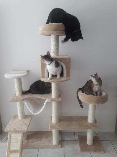 Photo du logement