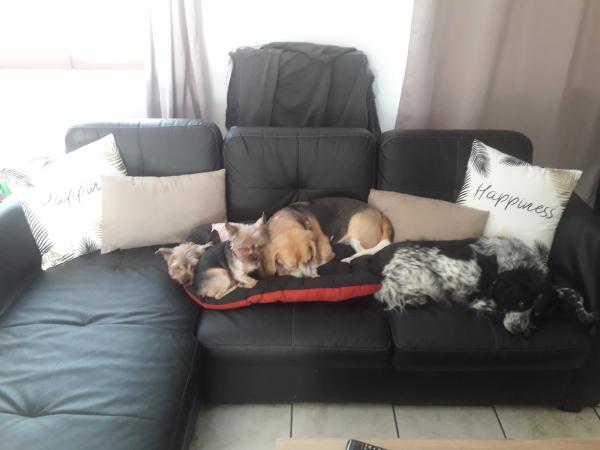 Photo du logement