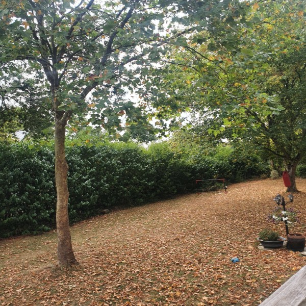 Photo du logement