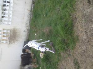 Photo du logement