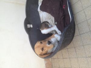 Photo du logement