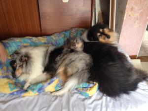 Photo du logement