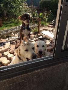 Photo du logement