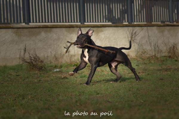 Photo du logement