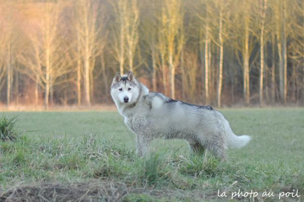 Photo du logement