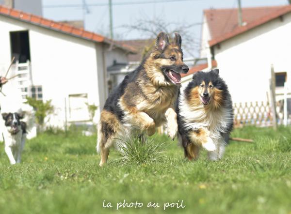 Photo du logement