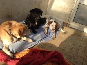 Photo du logement