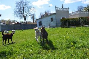 Photo du logement