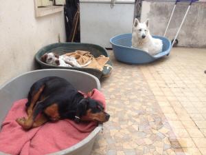 Photo du logement