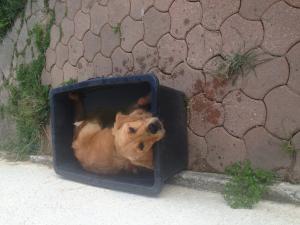 Photo du logement
