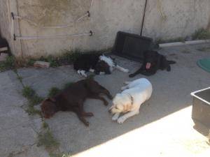 Photo du logement