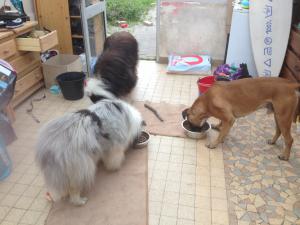 Photo du logement