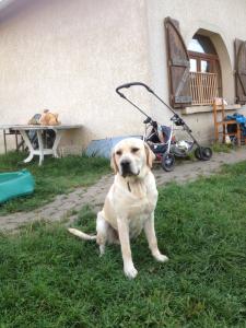 Photo du logement
