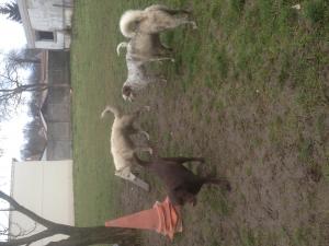 Photo du logement