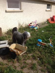 Photo du logement