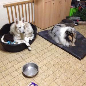 Photo du logement