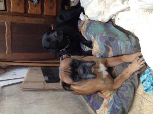 Photo du logement