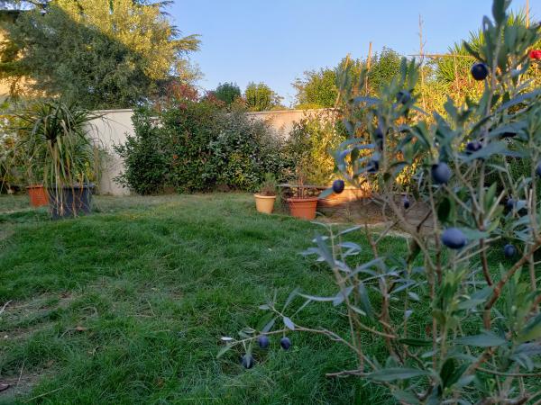 Photo du logement