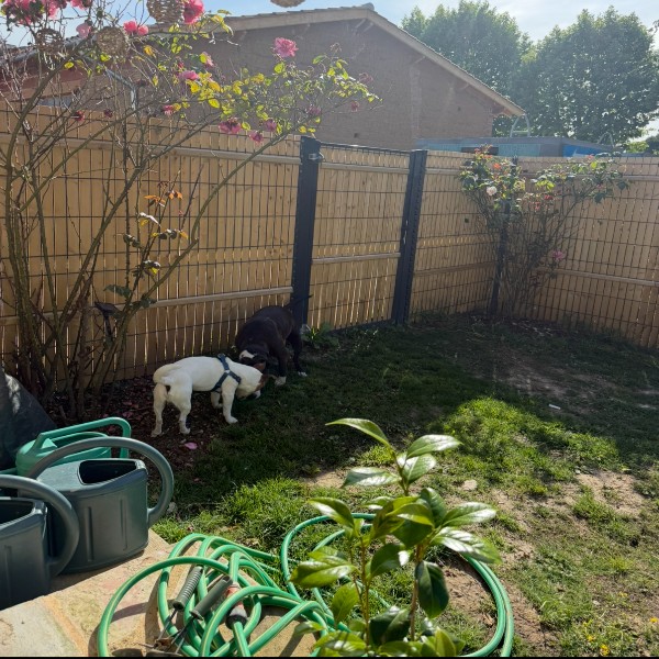 Photo du logement
