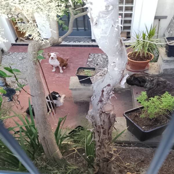 Photo du logement