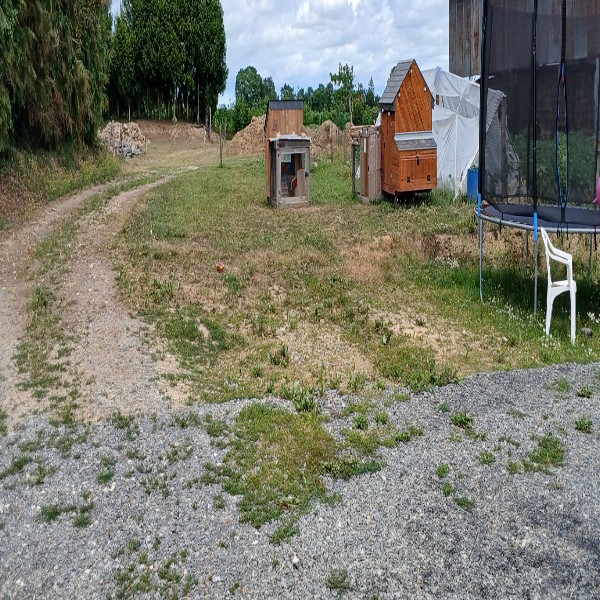 Photo du logement