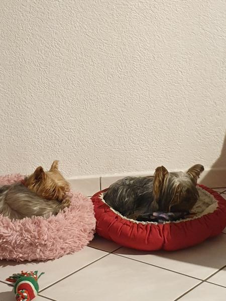 Photo du logement