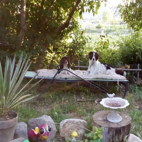 Photo du logement