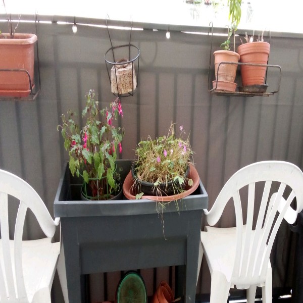Photo du logement