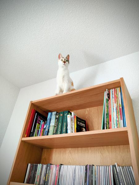 Photo du logement