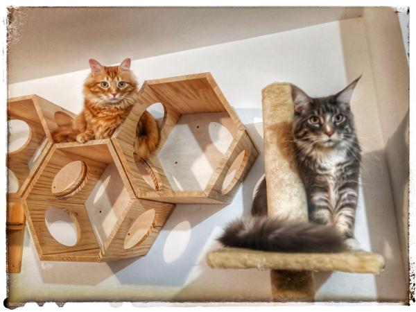 Photo du logement