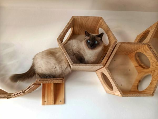 Photo du logement