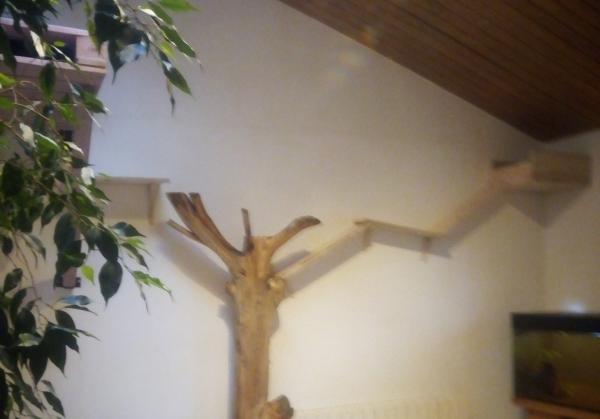 Photo du logement