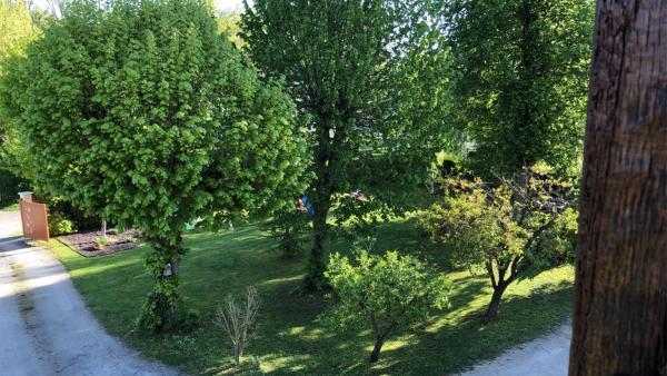 Photo du logement