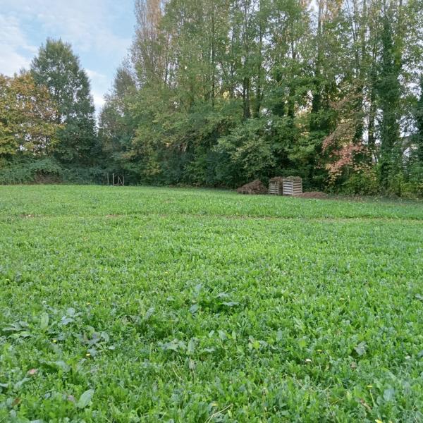 Photo du logement