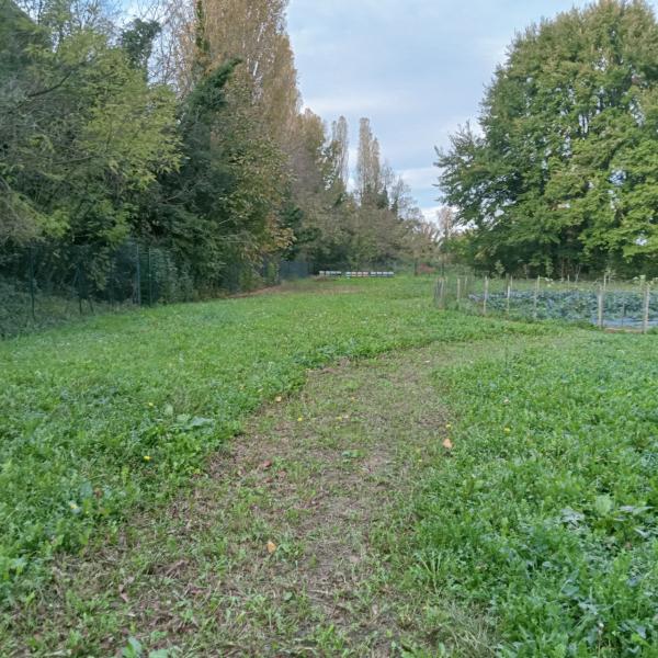 Photo du logement