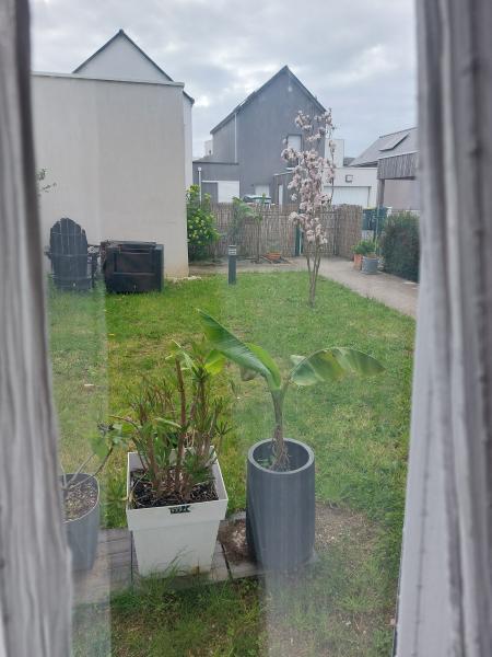 Photo du logement
