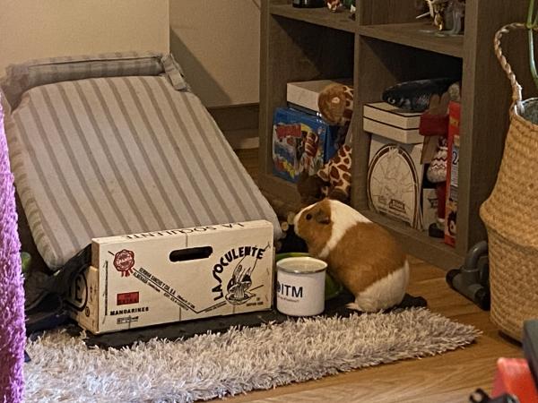 Photo du logement
