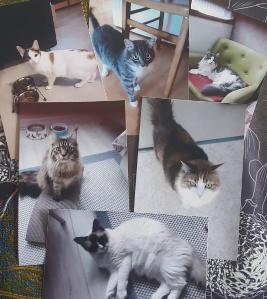 Photo du logement