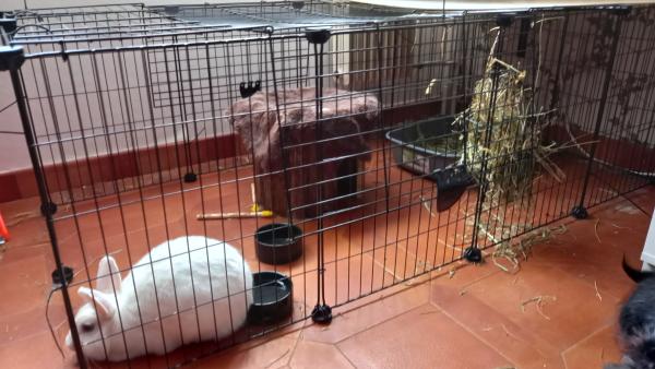 Photo du logement