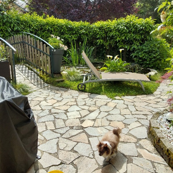 Photo du logement