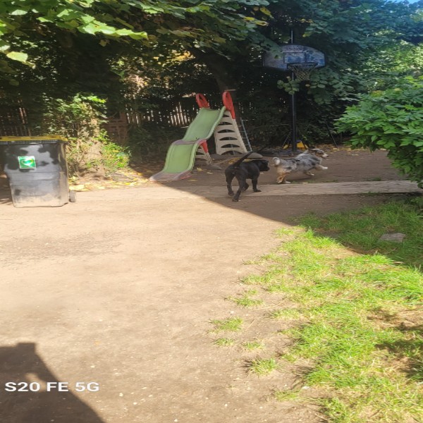 Photo du logement