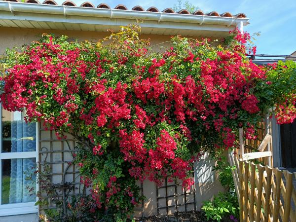 Photo du logement