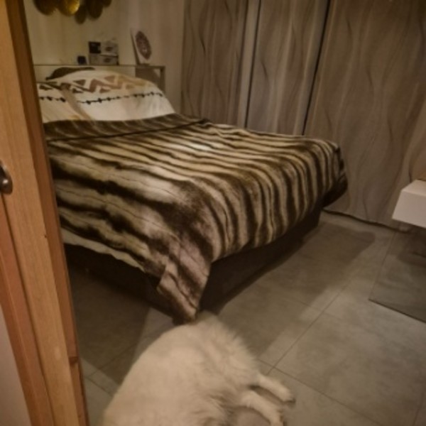 Photo du logement