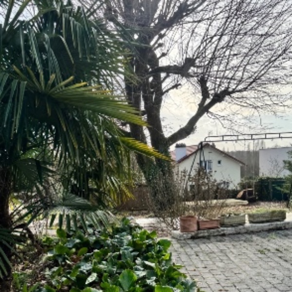 Photo du logement