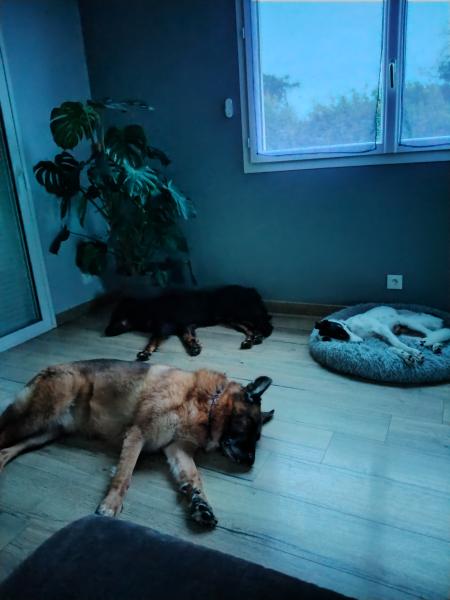 Photo du logement